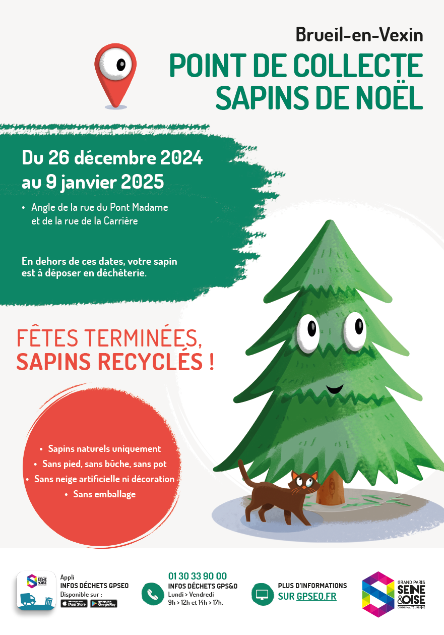 Collecte des sapins à Brueil